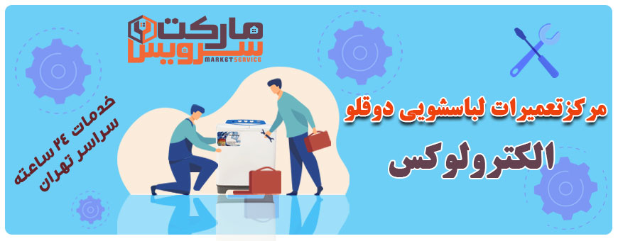 تعمیر انواع لباسشویی دوقلو الکترولوکس